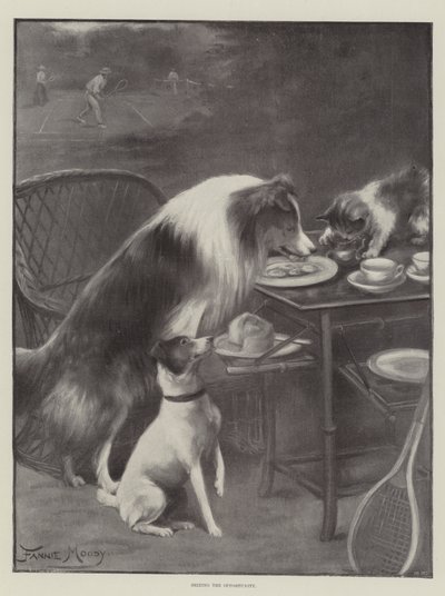 Aprovechando la Oportunidad de Fannie Moody